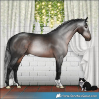 Horse Color:Gray Brown Mushroom 