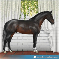 Horse Color:Gray Brown Mushroom 