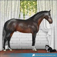 Horse Color:Gray Brown Mushroom 