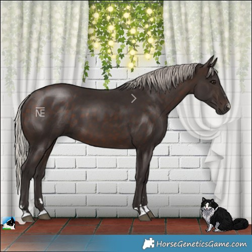 Horse Color:Silver Brown 