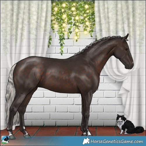 Horse Color:Silver Brown 