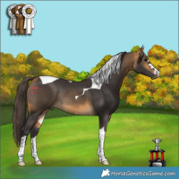 Horse Color:Buckskin Tobiano Rabicano 