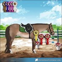 Horse Color:Liver Red Dun