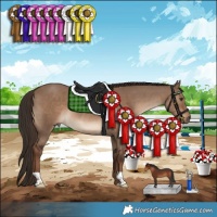 Horse Color:Liver Red Dun 