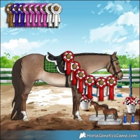 Horse Color:Liver Red Dun 