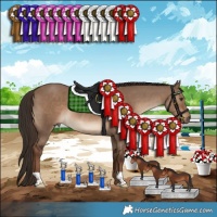 Horse Color:Liver Red Dun