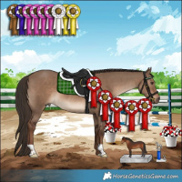 Horse Color:Liver Red Dun 