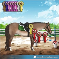 Horse Color:Liver Red Dun