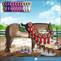 Horse Color:Liver Red Dun