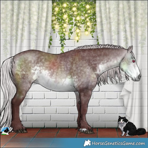 Horse Color:Chocolate Silver Buckskin Chinchilla Rabicano 