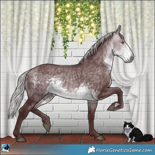 Horse Color:Chocolate Silver Buckskin Chinchilla Rabicano 