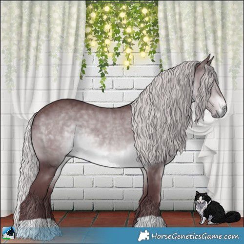Horse Color:Chocolate Silver Brown Chinchilla Rabicano