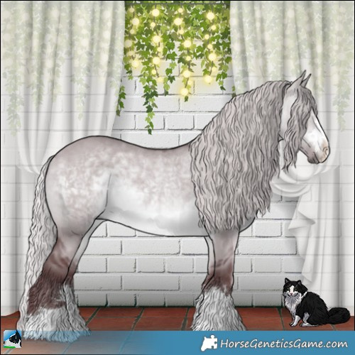 Horse Color:Chocolate Silver Brown Chinchilla Dun Rabicano 