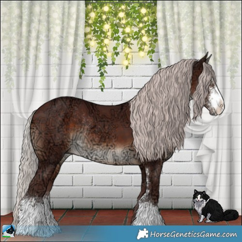 Horse Color:Chocolate Silver Brown Ice Sabino Rabicano 
