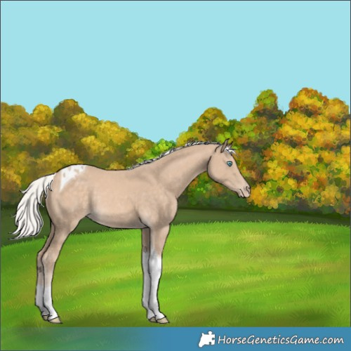 Horse Color:Silver Perlino Tobiano Rabicano 