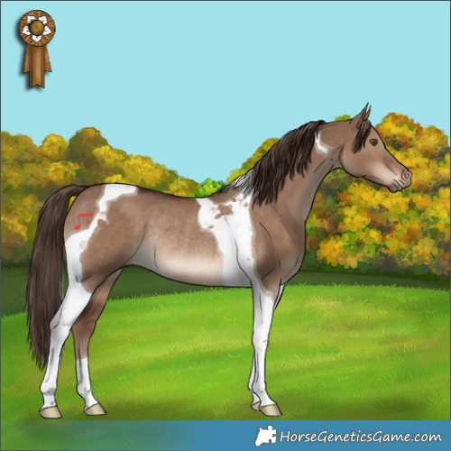 Horse Color:Liver Red Dun Tobiano Rabicano