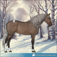 Horse Color:Silver Brown Dun Tobiano Rabicano