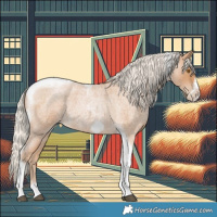 Horse Color:Silver Blue Roan Pearl Tobiano Frame 