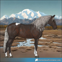 Horse Color:Silver Brown Tobiano 