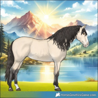 Horse Color:Buckskin Dun Splash 