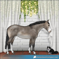 Horse Color:Brown Dun Sabino Brindle 