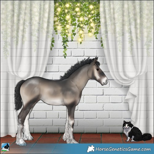 Horse Color:Blue Onyx Sabino Rabicano 
