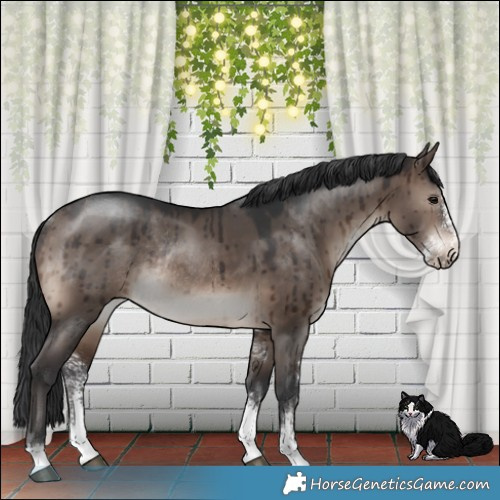 Horse Color:Brown Dun Mushroom Sabino Rabicano Brindle