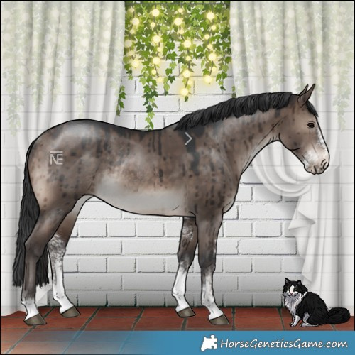 Horse Color:Brown Dun Mushroom Sabino Rabicano Brindle 