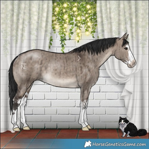 Horse Color:Brown Dun Mushroom Splash Rabicano Brindle 
