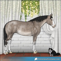 Horse Color:Brown Dun Mushroom Splash Rabicano Brindle 