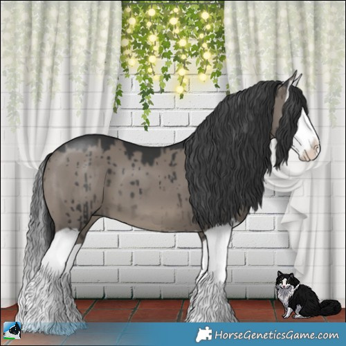 Horse Color:Grullo Mushroom Splash Brindle