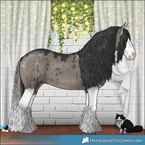 Horse Color:Grullo Mushroom Splash Brindle 