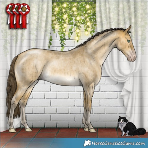 Horse Color:Sable Cream Champagne Roan Dun Mushroom Rabicano Brindle 