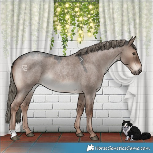 Horse Color:Liver Red Dun Roan Mushroom Rabicano 
