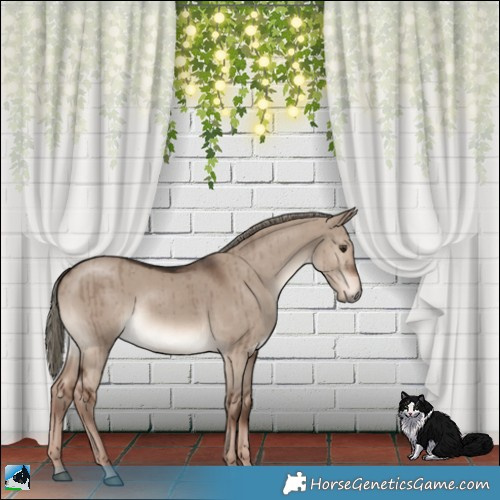 Horse Color:Liver Red Dun Mushroom Rabicano Brindle 