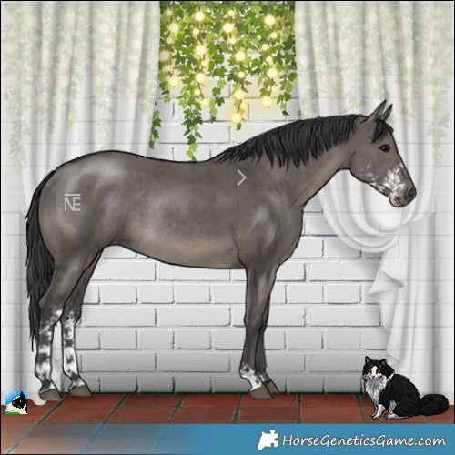 Horse Color:Grullo Mushroom Sabino Rabicano Brindle
