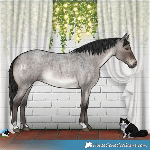 Horse Color:Brown Roan Dun Mushroom Rabicano Brindle 