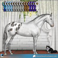 Horse Color:Grullo Appaloosa Brindle 