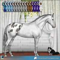 Horse Color:Grullo Varnish Brindle