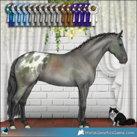 Horse Color:Grullo Varnish Brindle 