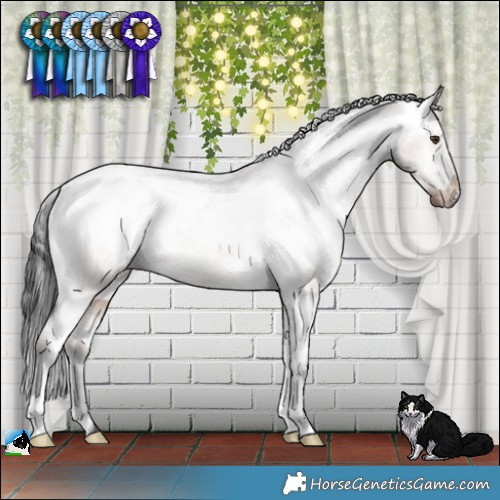 Horse Color:Liver Red Dun Appaloosa Brindle 