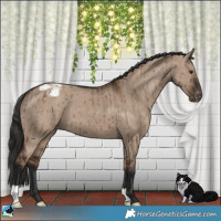 Horse Color:Liver Red Dun Appaloosa Brindle 