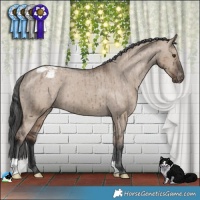 Horse Color:Liver Red Dun Appaloosa Brindle 