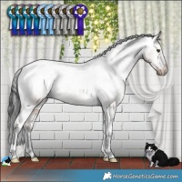 Horse Color:Liver Red Dun Appaloosa Brindle 