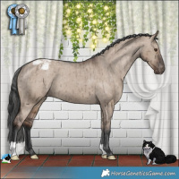 Horse Color:Liver Red Dun Appaloosa Brindle