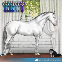 Horse Color:Liver Red Dun Appaloosa Brindle 