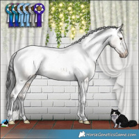 Horse Color:Liver Red Dun Appaloosa Brindle 