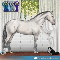 Horse Color:Liver Red Dun Appaloosa Brindle