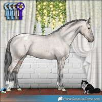 Horse Color:Liver Red Dun Appaloosa Brindle 