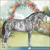 Horse Color:Black Sabino Appaloosa 